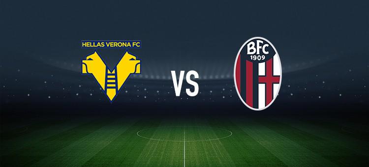 它不仅是向 它不仅是向