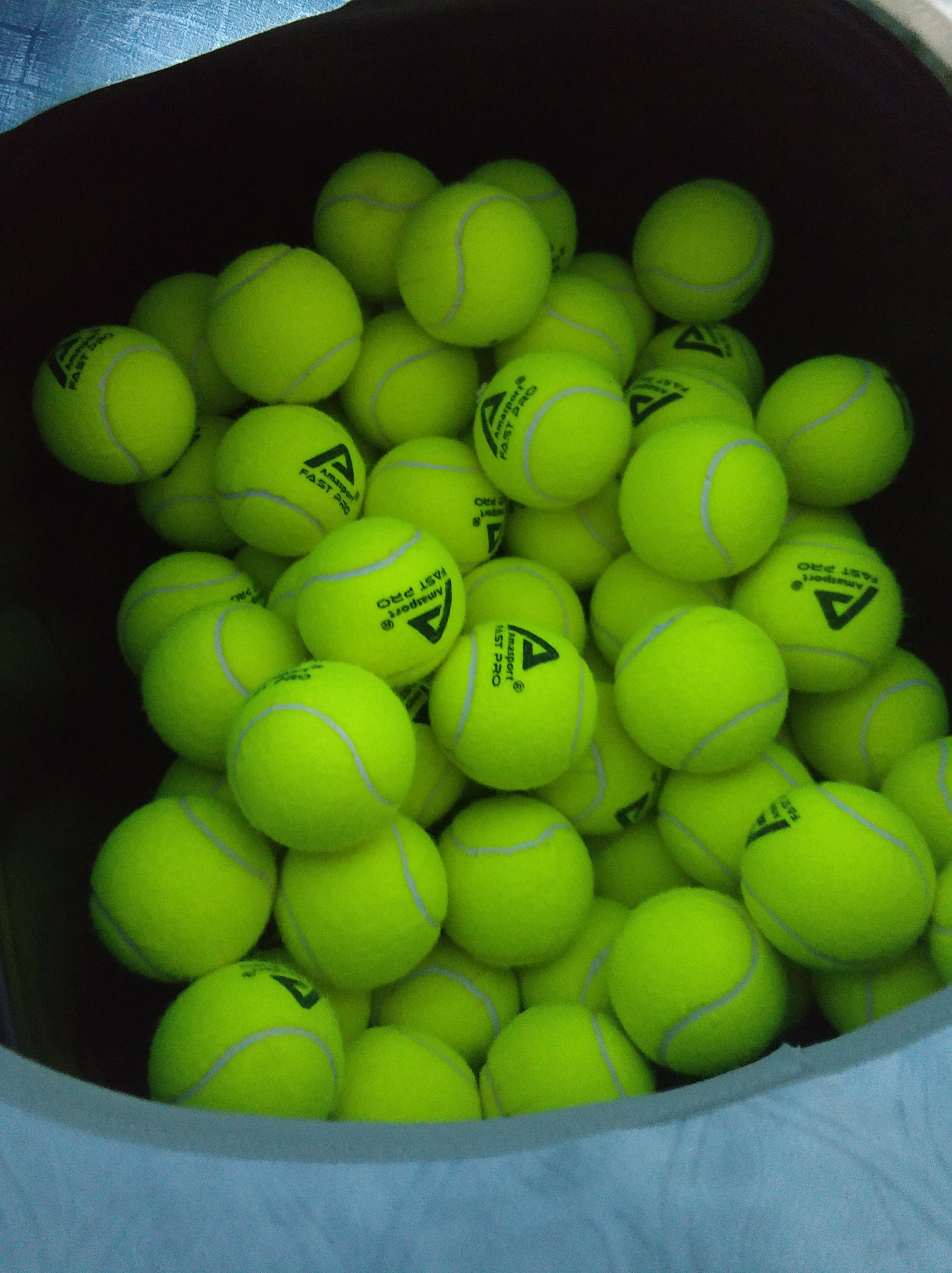 的黄金法则 的黄金法则