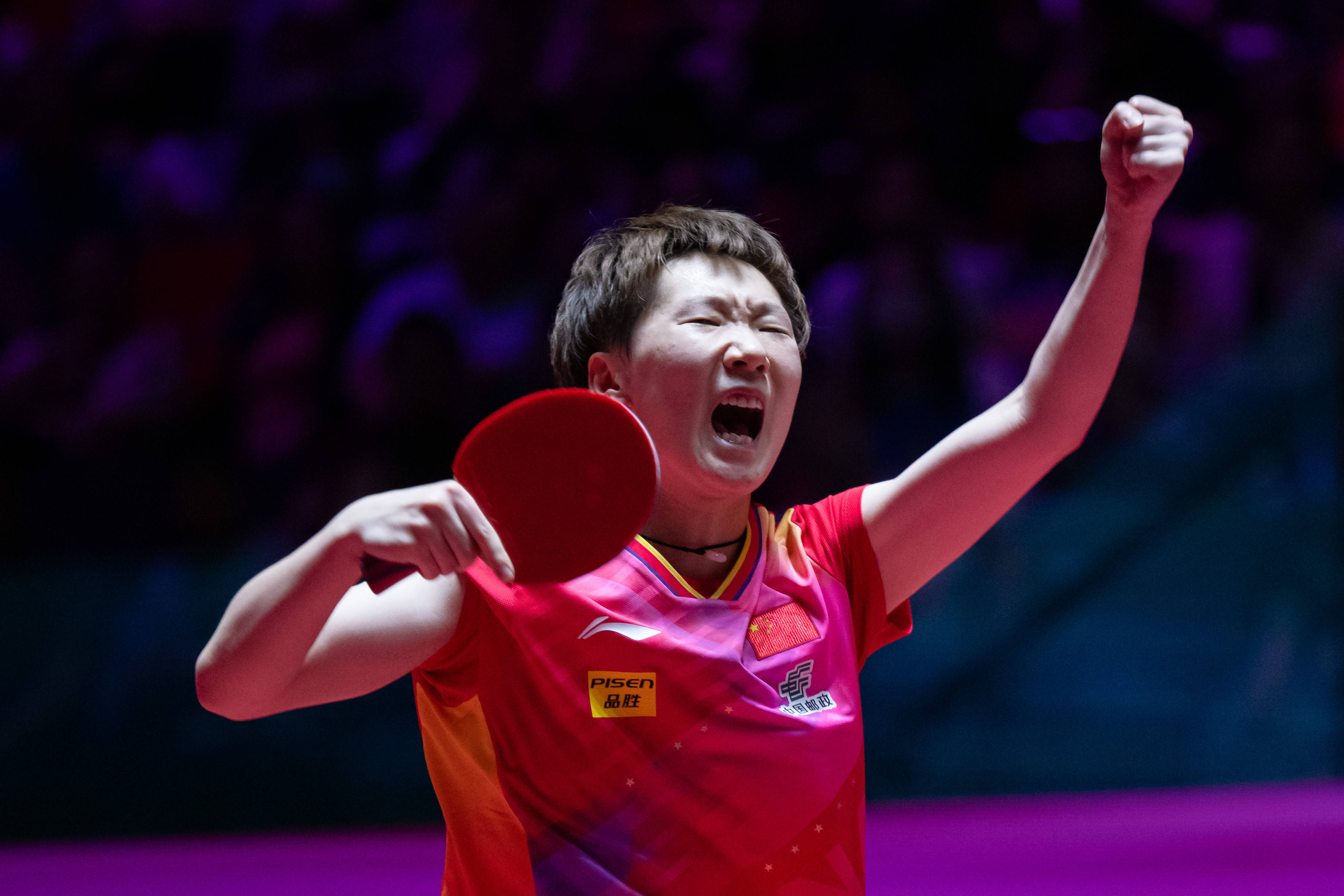 森林狼采用 森林狼采用