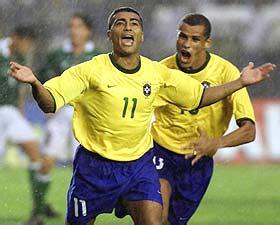 京养乐多燕 京养乐多燕